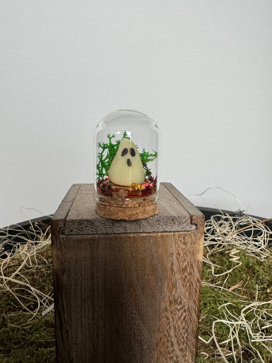 Mystery glow in the dark ghost