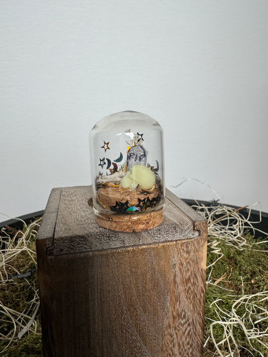 Mystery glow in the dark skulls