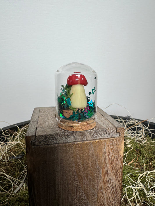 Mystery glow in the dark mushroom